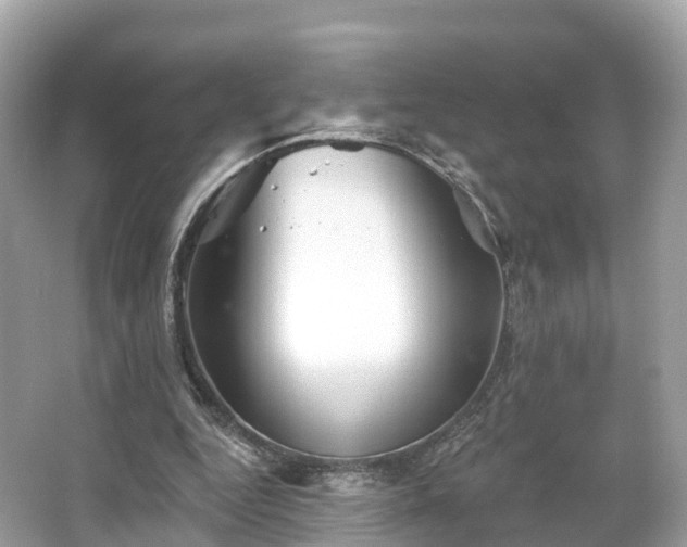 X0000066120344200603131334