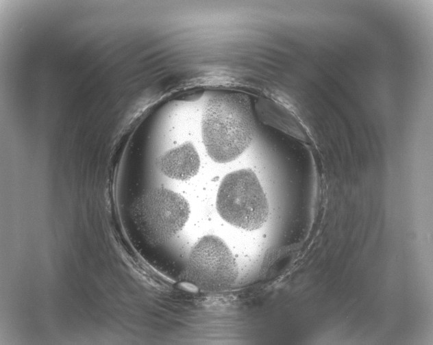 X0000066120345200603131334