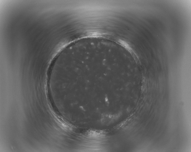 X0000066120346200603131334