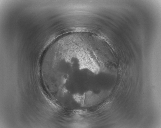 X0000066120347200603131334