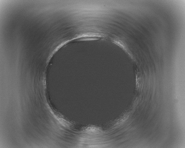 X0000066120348200603131334