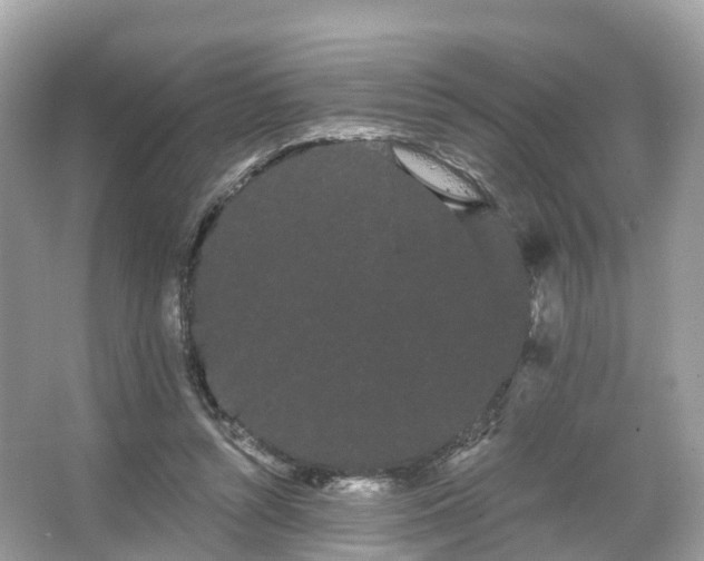 X0000066120352200603131334