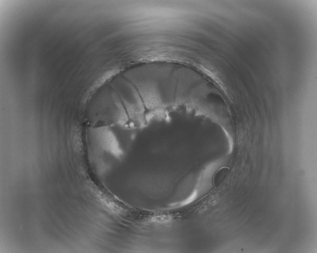 X0000066120353200603131334