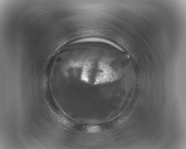 X0000066120355200603131334