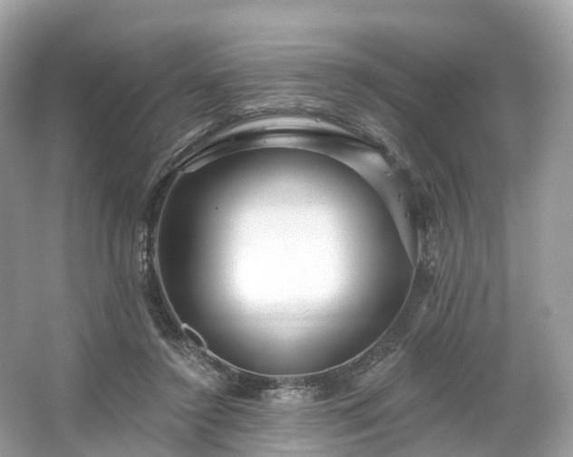 X0000066120356200603131334