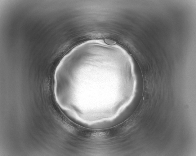 X0000066120357200603131334