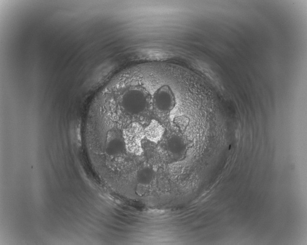 X0000066120358200603131334