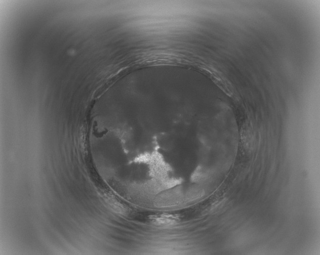 X0000066120359200603131334