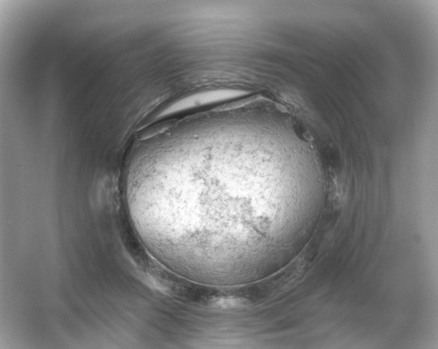 X0000066120360200603131334