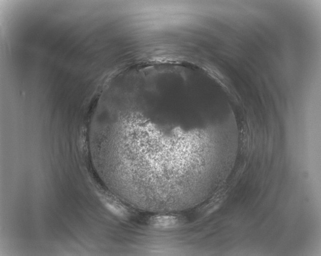 X0000066120361200603131334