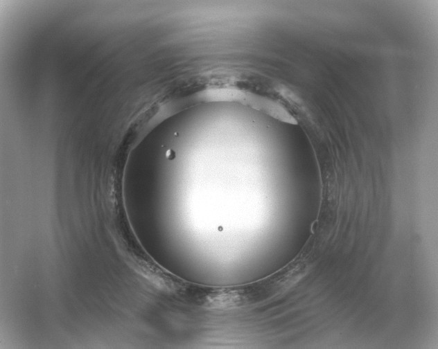 X0000066120362200603131334