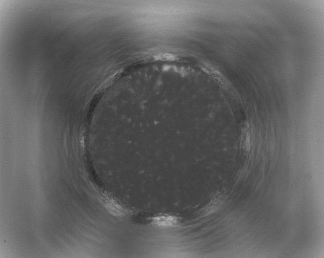 X0000066120363200603131334