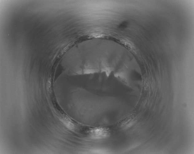 X0000066120365200603131334