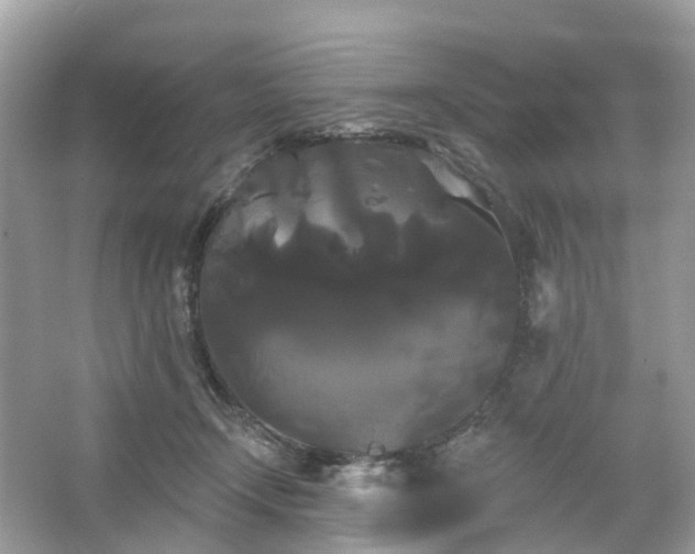 X0000066120366200603131334