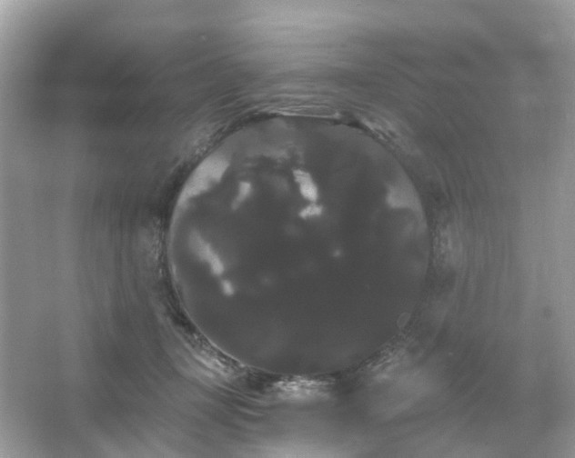 X0000066120367200603131334