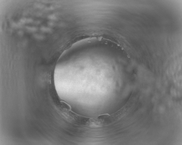 X0000066120368200603131334