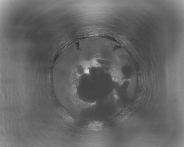 X0000066120369200603131334