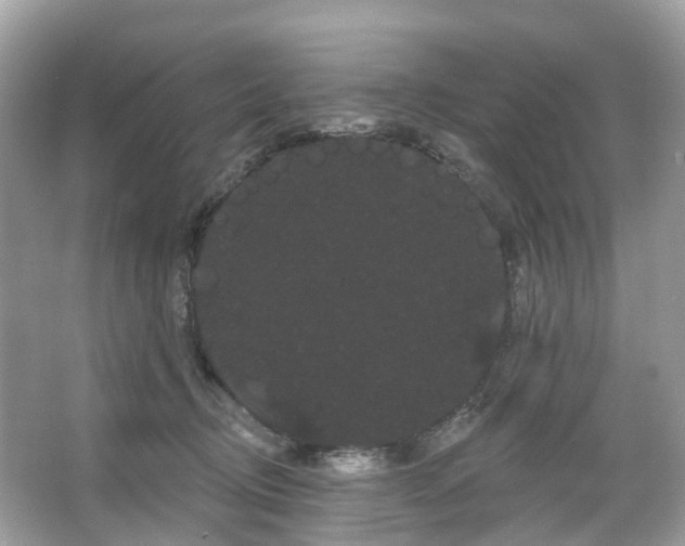 X0000066120370200603131334