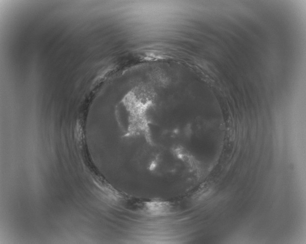 X0000066120371200603131334