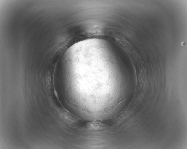 X0000066120372200603131334