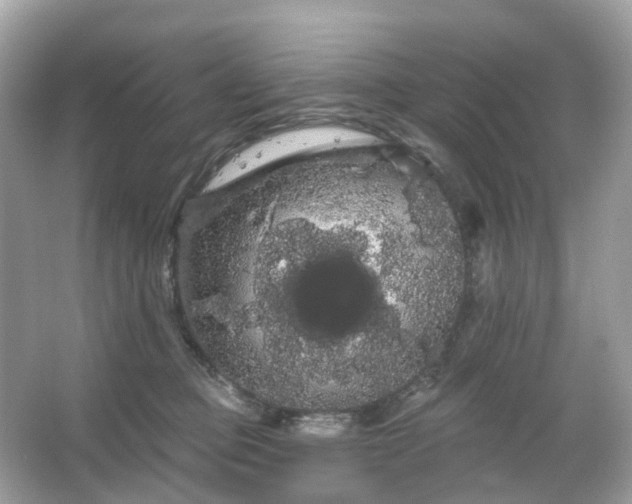 X0000066120373200603131334