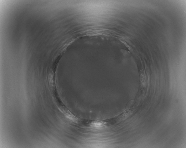 X0000066120375200603131334