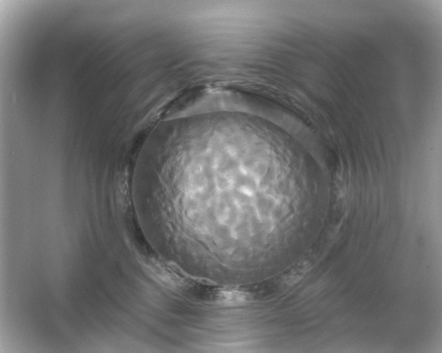 X0000066120376200603131334