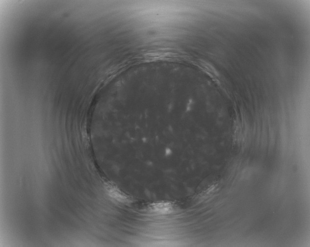 X0000066120377200603131334