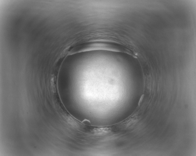 X0000066120378200603131334