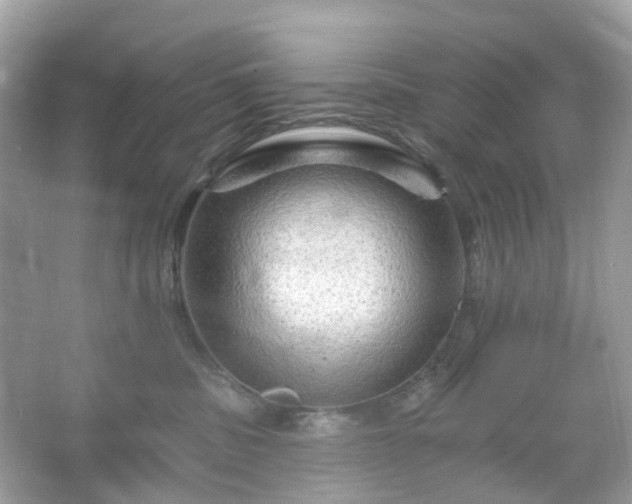 X0000066120379200603131334