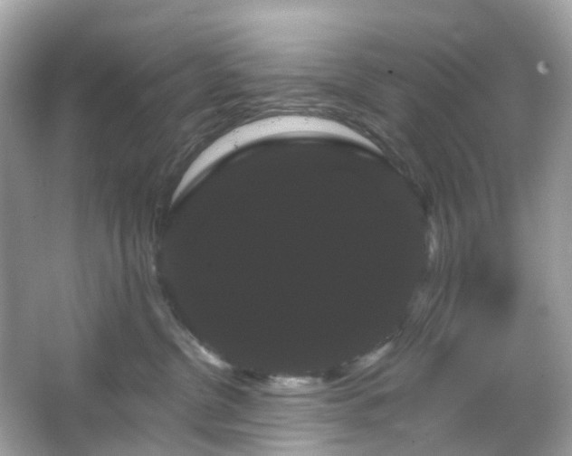 X0000066120380200603131334