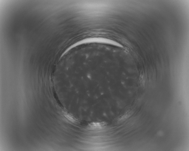 X0000066120381200603131334