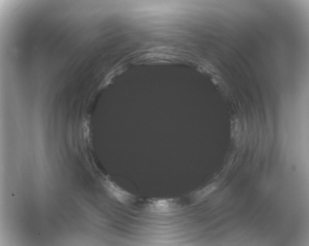 X0000066120382200603131334