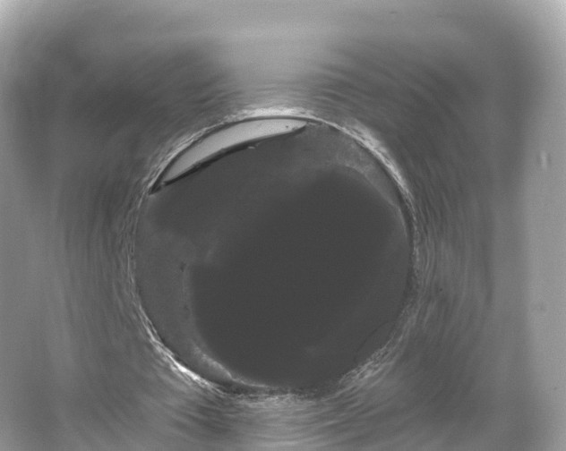 X0000066120385200603131334