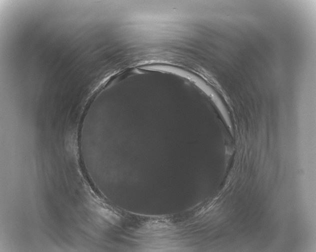 X0000066120386200603131334