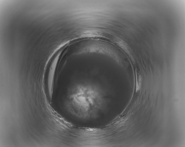 X0000066120387200603131334