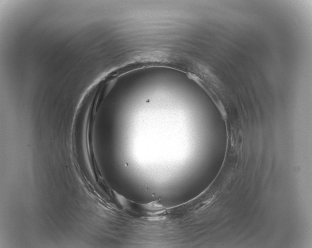 X0000066120388200603131334