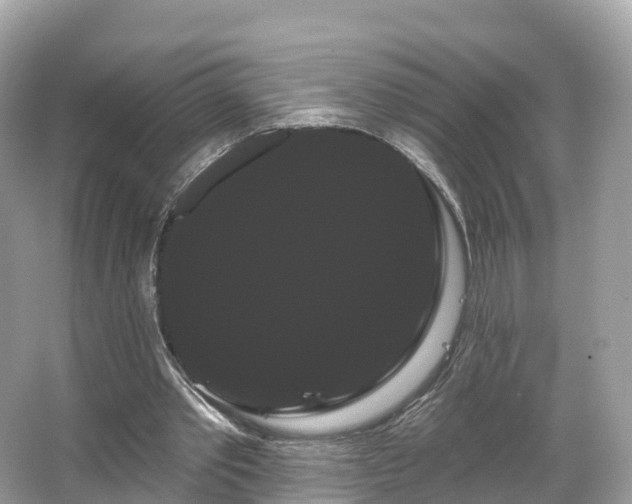 X0000066120389200603131334