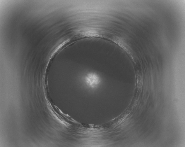 X0000066120390200603131334