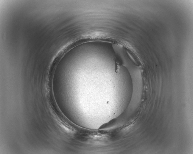 X0000066120392200603131333