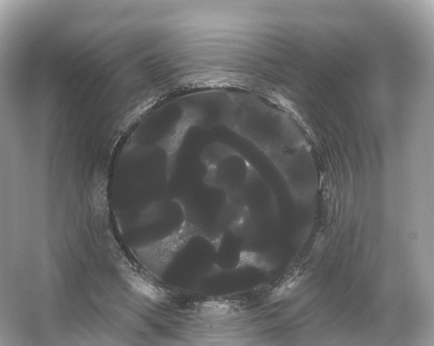 X0000066120394200603131333