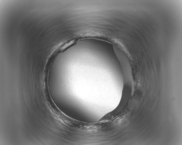 X0000066120395200603131333