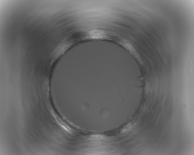 X0000066120397200603131333