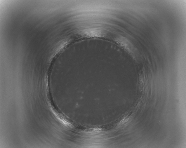 X0000066120398200603131333