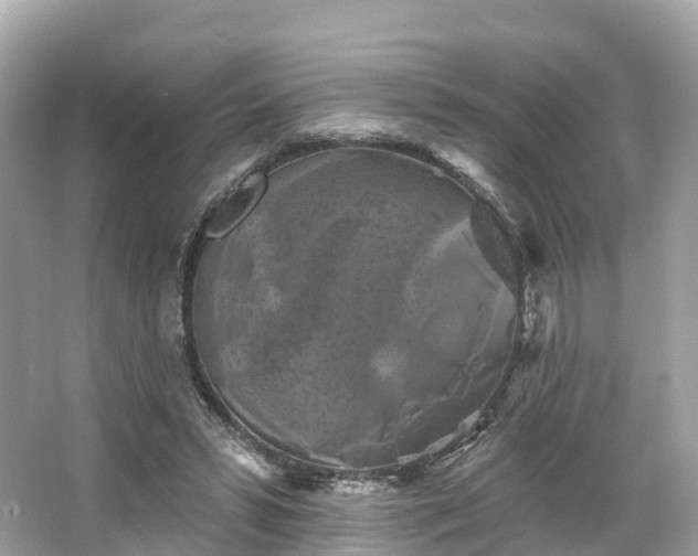 X0000066120399200603131333