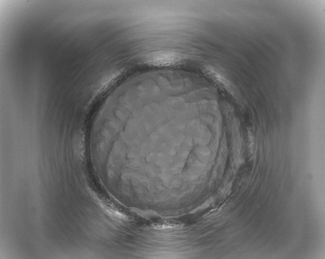 X0000066120400200603131333