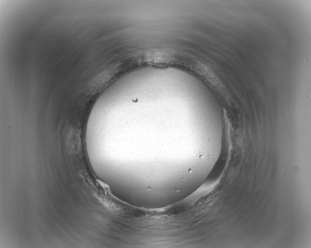 X0000066120401200603131333