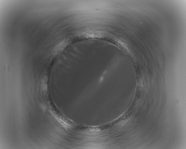 X0000066120402200603131333