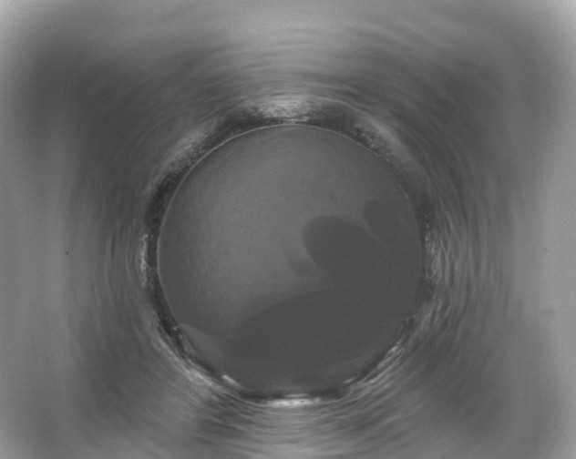 X0000066120404200603131333