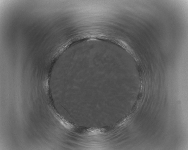 X0000066120405200603131333